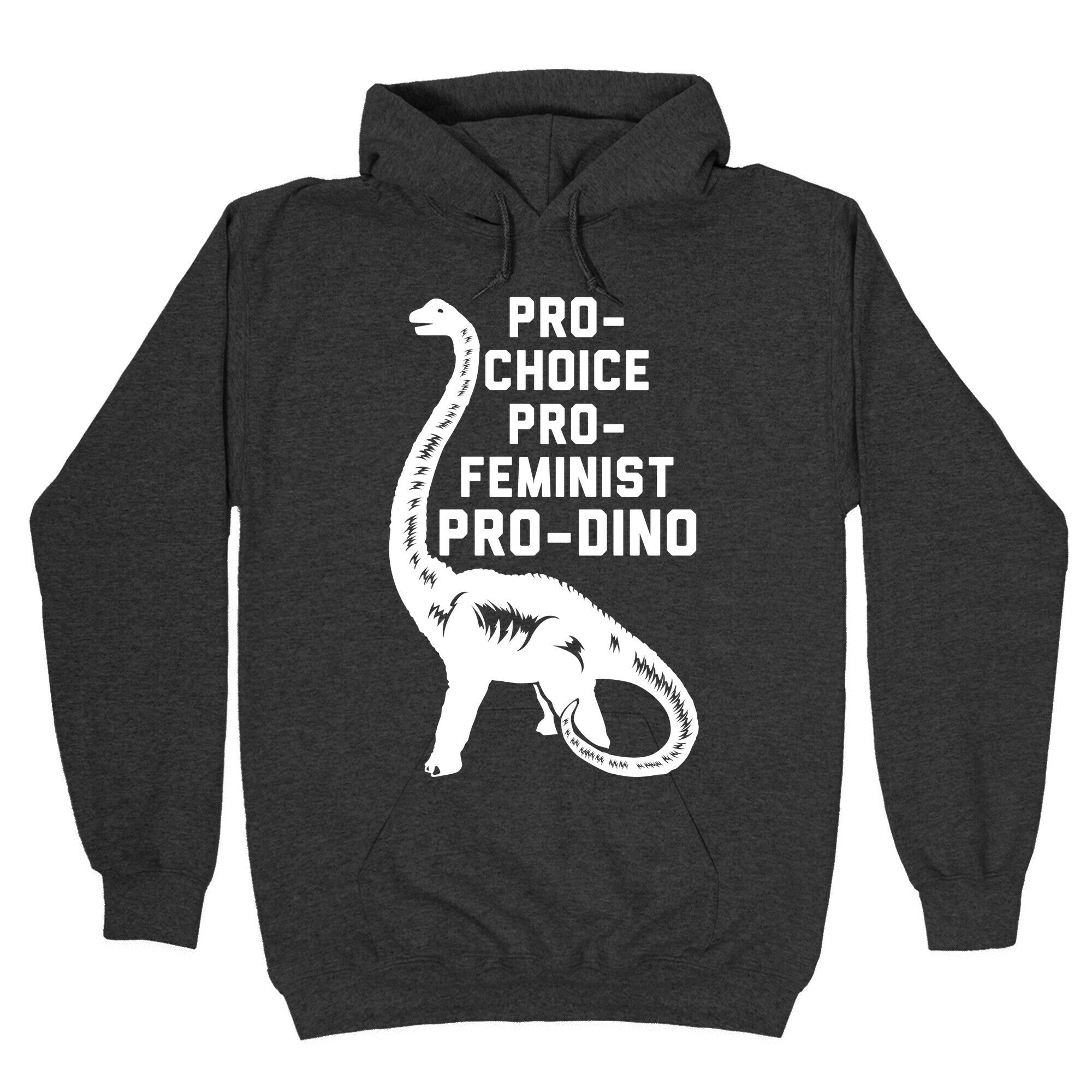 Pro-Choice Pro-Feminist Pro-Dino Hoodie